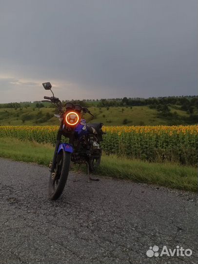 Зид 150