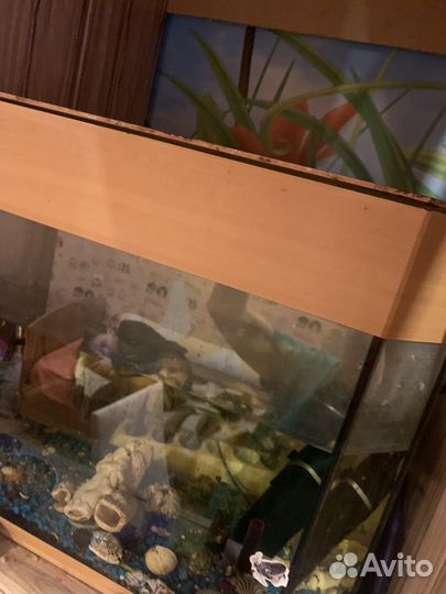Аквариум для рыбок