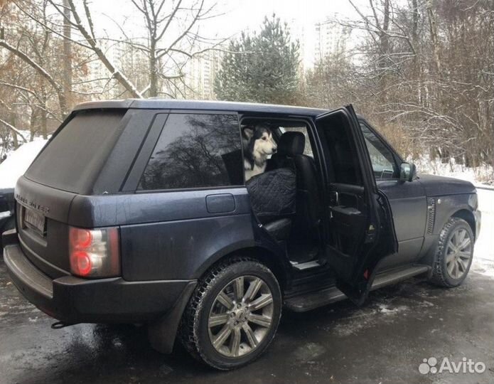 Автогамак для перевозки собак