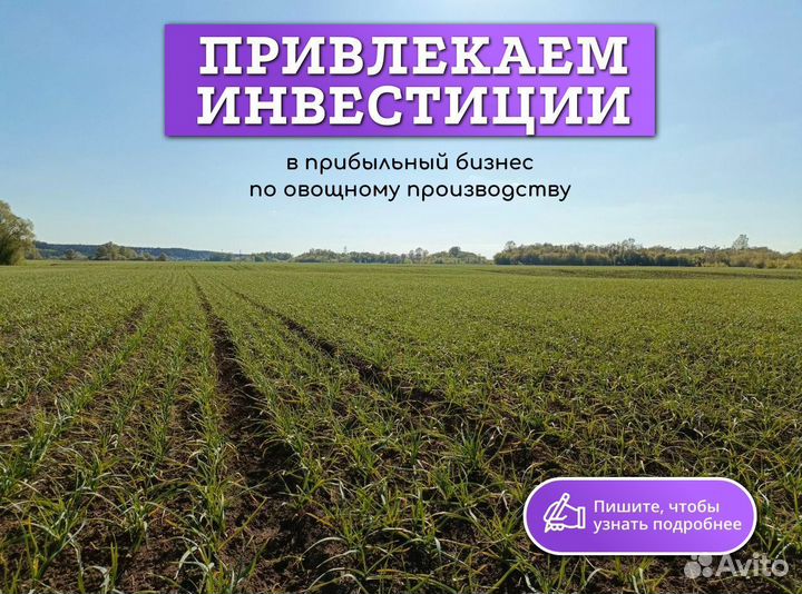 Ищу инвестора для развития бизнеса