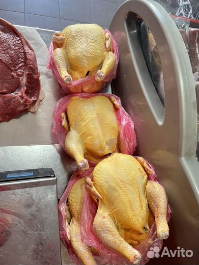 Домашняя курица