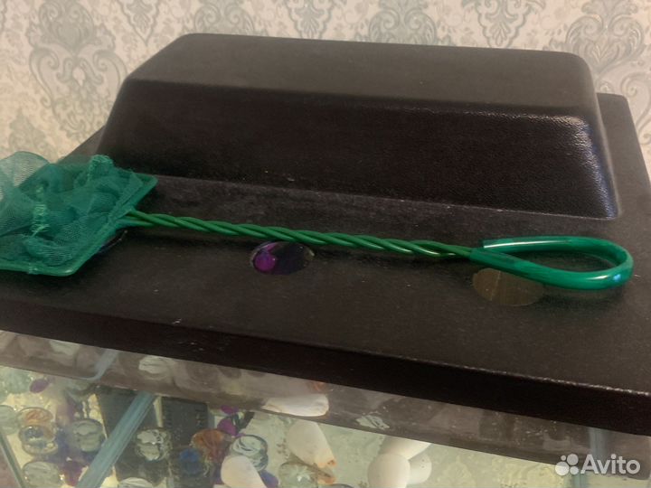 Рыбка петушок самец и 2 сомика