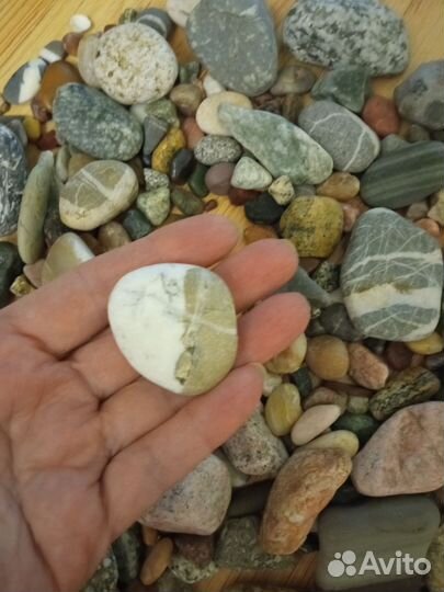 Для аквариума морские камушки