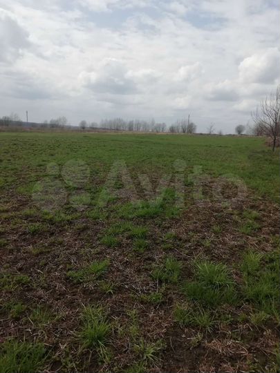 Участок 60 сот. (ИЖС)