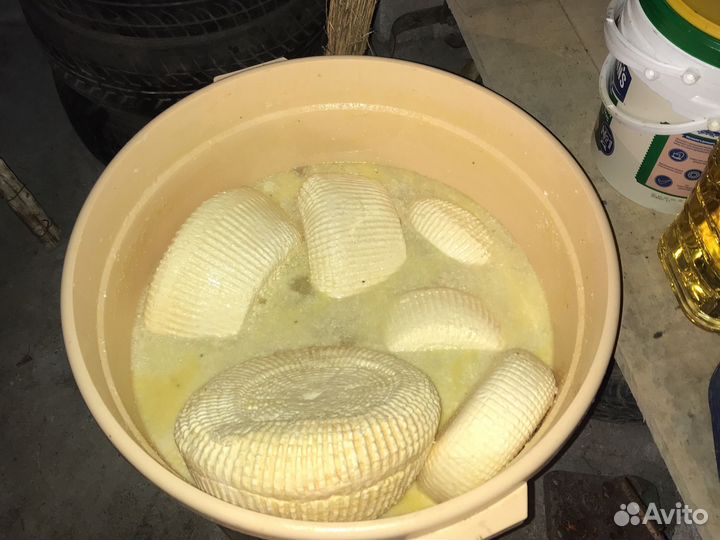 Сыр