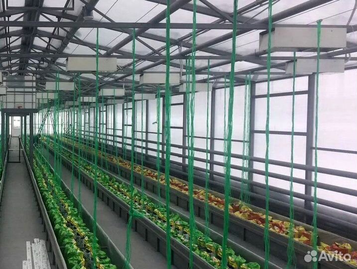 Сотовый поликарбонат прозрачный и цветной