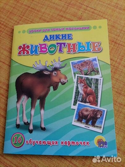 Обучающие карточки. Животные