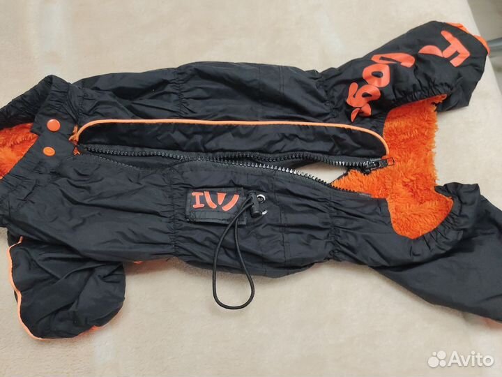 Одежда для собак