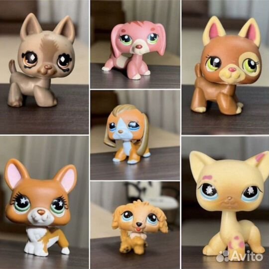 Littlest Pet Shop
