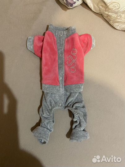 Комбинезон для маленькой собаки