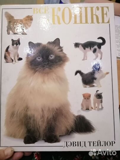 Книги о кошках