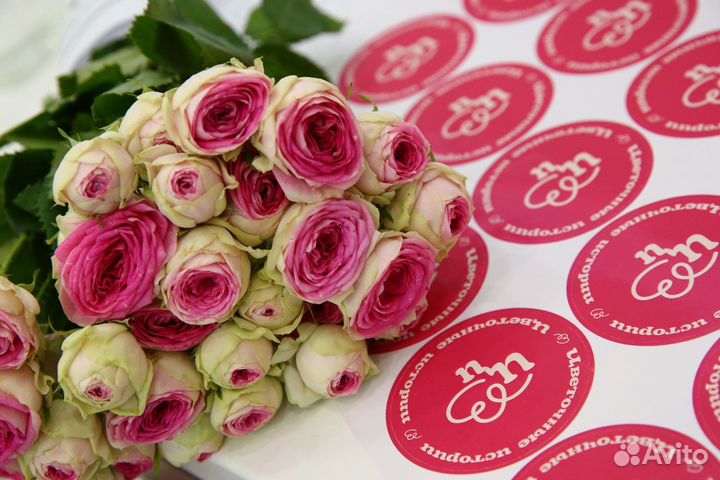 Доставка цветов / Цветы / Гортензии