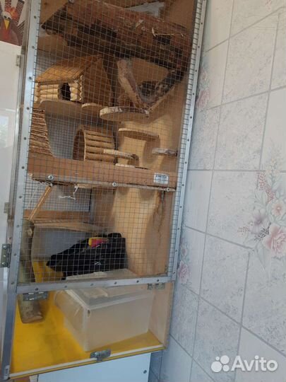 Витрина для грызунов