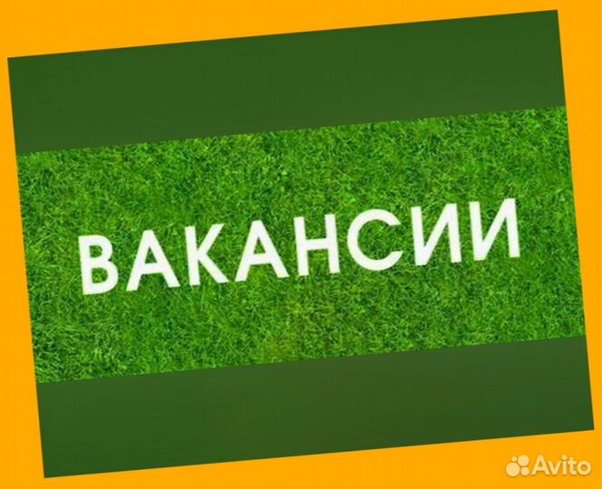 Уборщик Оплата еженедельно /Спецодежда /Отл.Услови