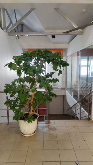 Свободного назначения, 70 м²