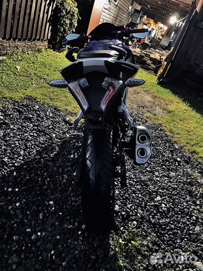 Racer storm 250
