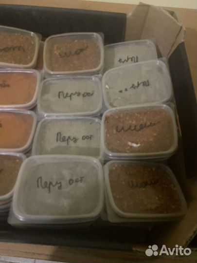 Специи и приправы оптом