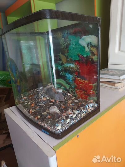 Аквариум