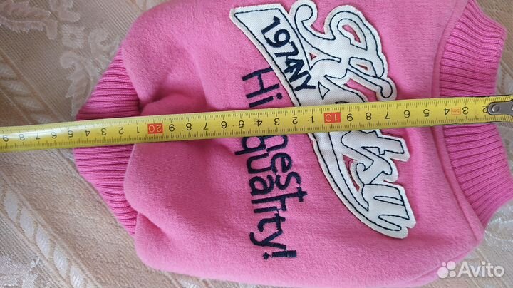 Одежда для собак