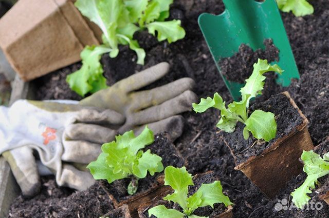 Земля-чернозем-почвогрунт-доставка
