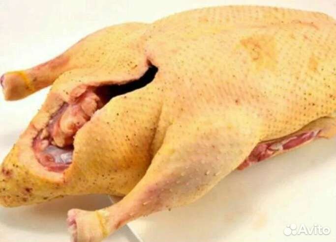 Мясо домашней утки, гуся