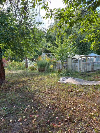 Дача 96 м² на участке 7,5 сот.