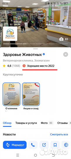 Стерилизация кошки или собаки