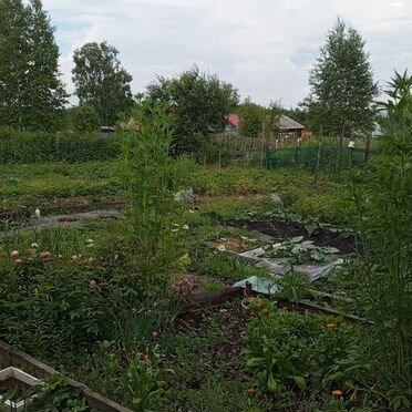 Дом 38 м² на участке 8 сот.