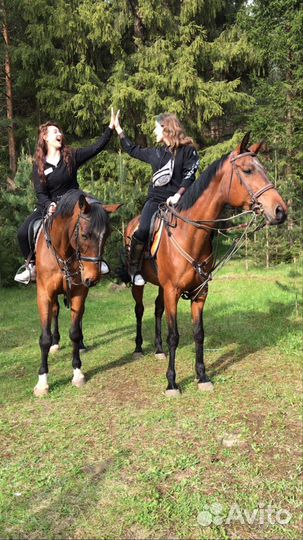 Конные прогулки