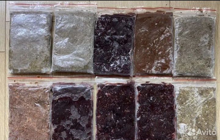 Мороженный корм для рыбок