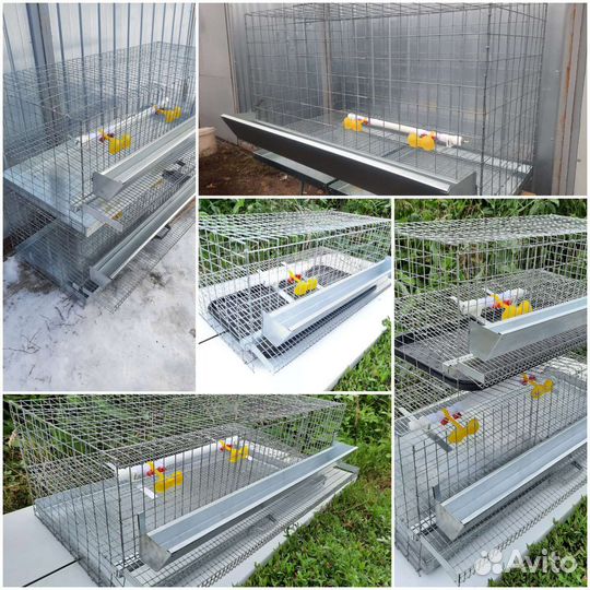 Новые клетки для перепелов,клетки для кур и кролик