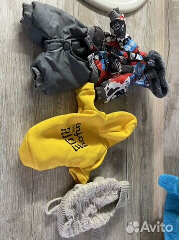 Вещи для маленьких собак