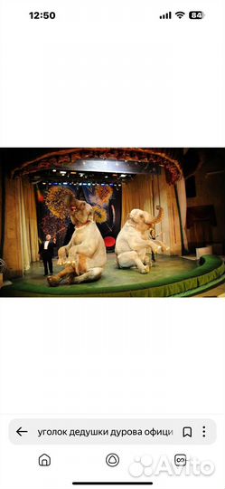 Билеты в театр уголок дедушки Дурова