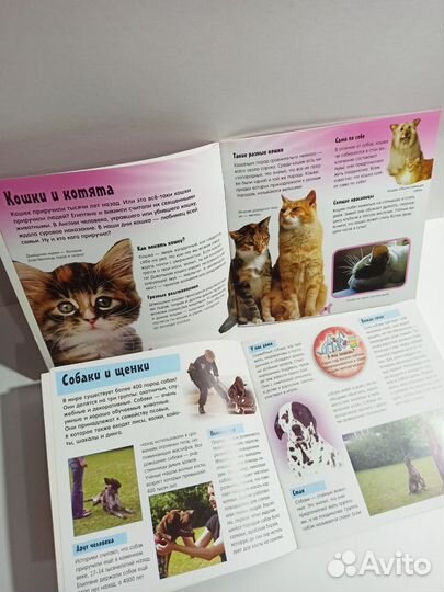 Познавательные и развивающие книги с наклейками
