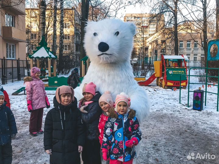 Экспресс поздравление Мишки и Панды гиганта