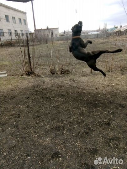 Открыт для вязки