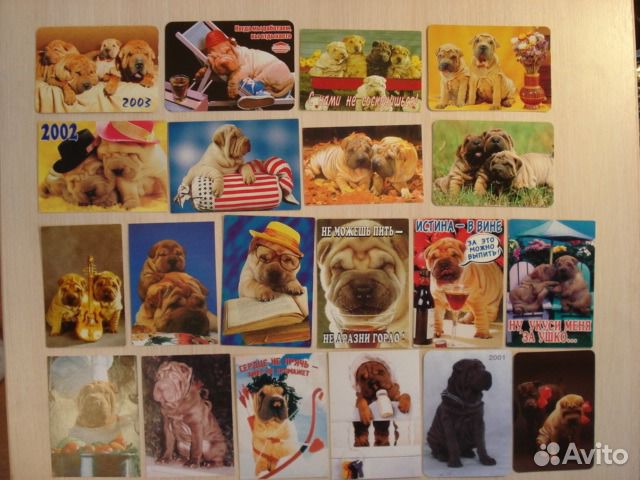 Коллекция календарей порода Шарпей щенок питомник