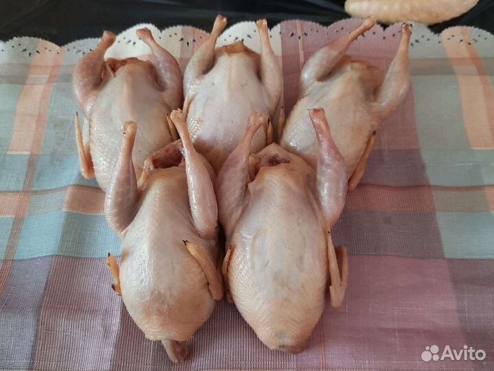 Мясо перепела Куры Индейка Утка