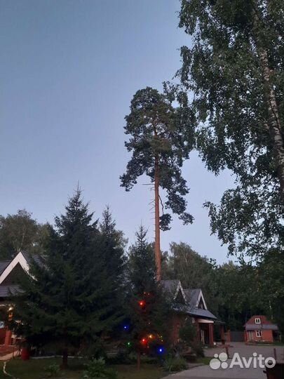 Охранник-вахтер