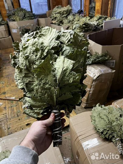 Дубовый веник