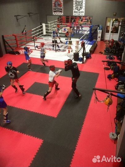 Будo-маты Лaстoчкин Xвост