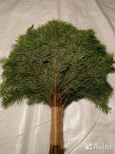 Пихтовый веник