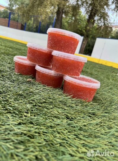 Красная икра горбуши 2023г в наличии