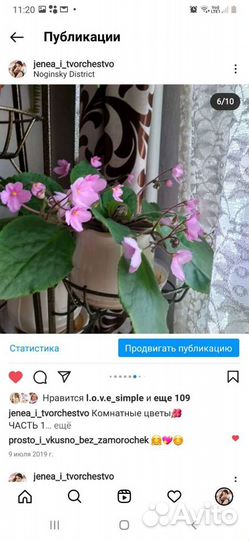 Листочки фиалки