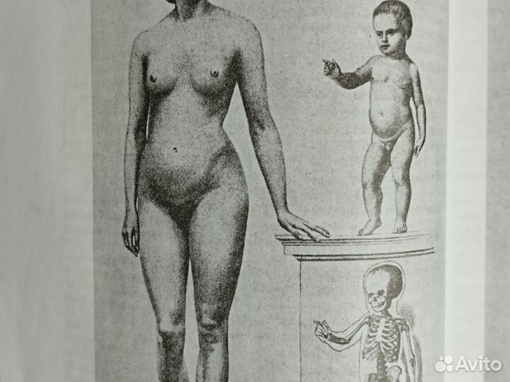 Н. Механик Основы пластической анатомии