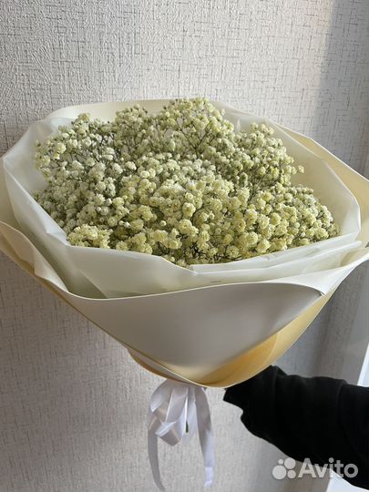 Букет Живые цветы Гипсофила Подарок