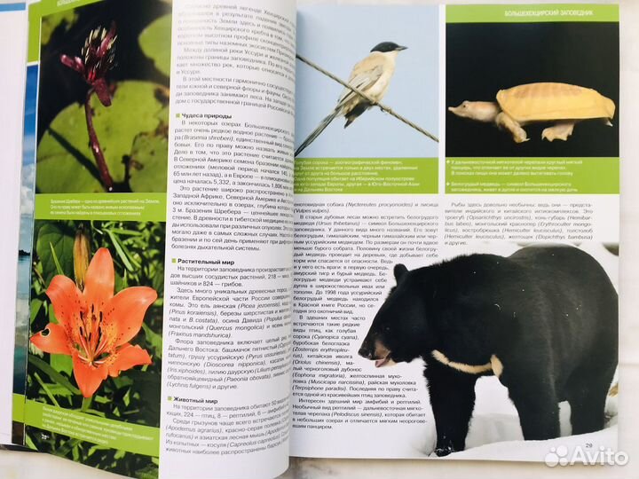 Самые красивые заповедники России, новая Эксмо