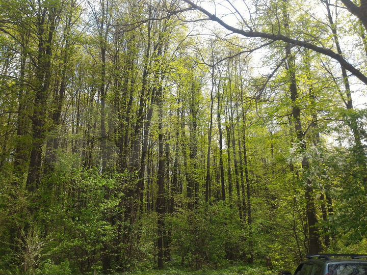 Дача 24 м² на участке 10 сот.