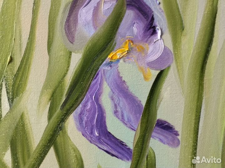 Картина маслом - синие ирисы расцвели в саду