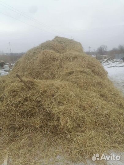 Сено.солома